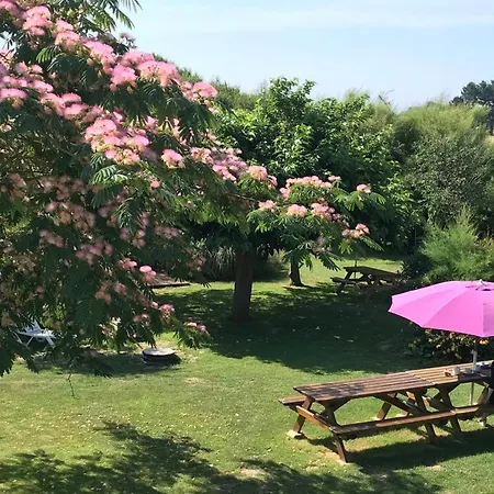 Aux Tamaris Szálloda 2*